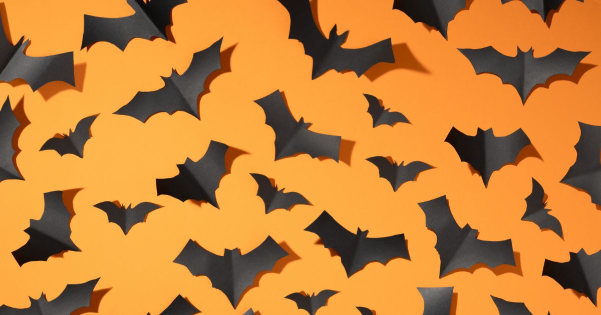 halloween photo of black bats on blank orange background